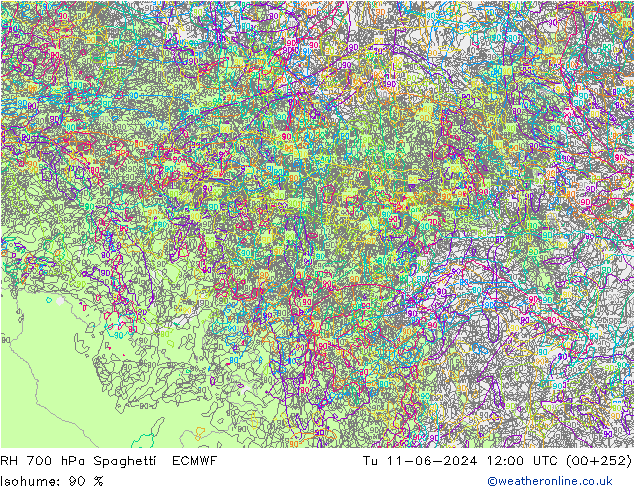 RV 700 hPa Spaghetti ECMWF di 11.06.2024 12 UTC
