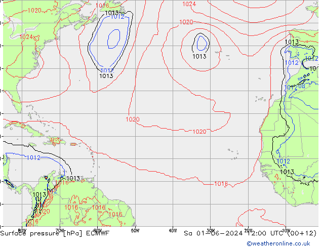      ECMWF  01.06.2024 12 UTC