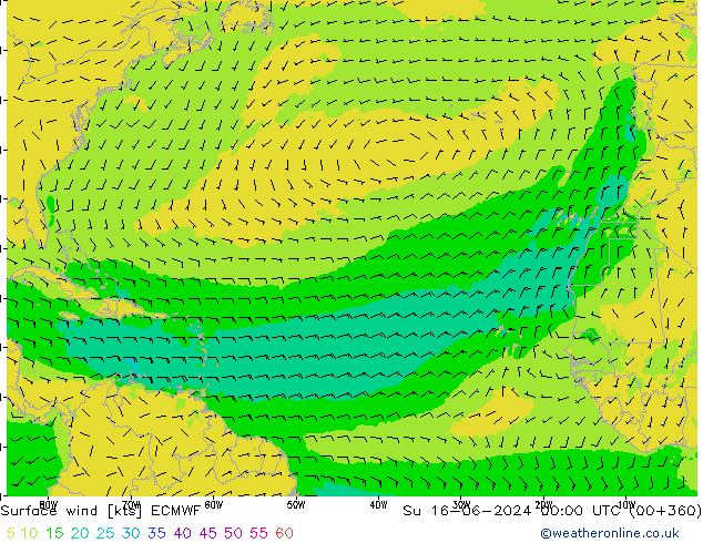 Surface wind ECMWF Su 16.06.2024 00 UTC