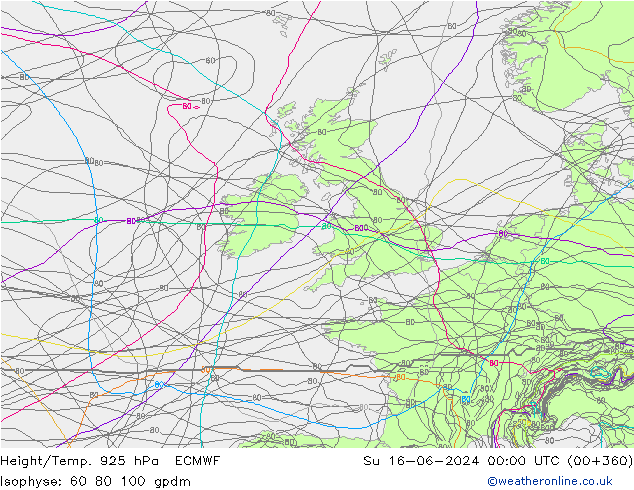 Height/Temp. 925 hPa ECMWF nie. 16.06.2024 00 UTC