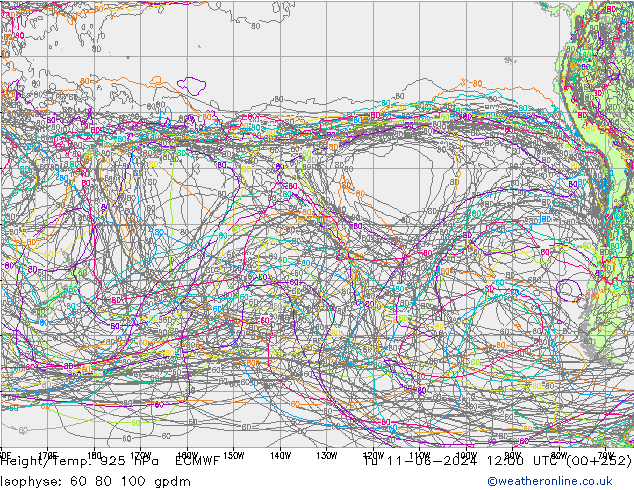 Height/Temp. 925 гПа ECMWF вт 11.06.2024 12 UTC