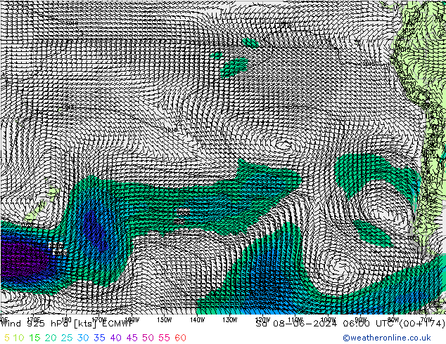 Rüzgar 925 hPa ECMWF Cts 08.06.2024 06 UTC