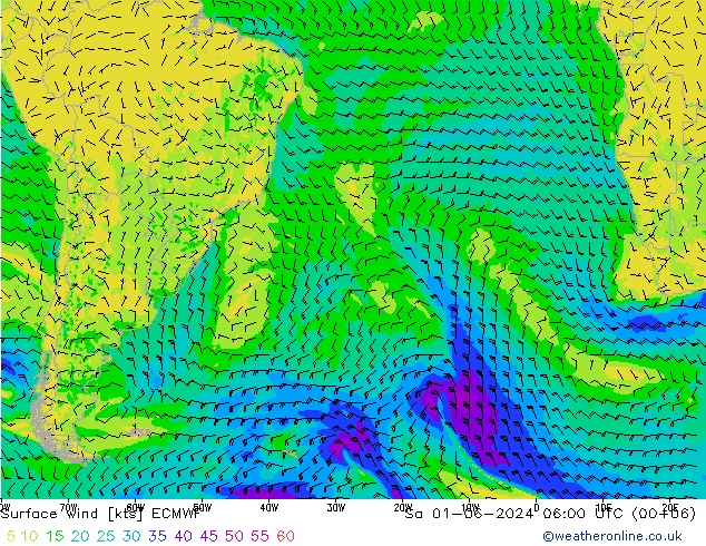 Surface wind ECMWF Sa 01.06.2024 06 UTC