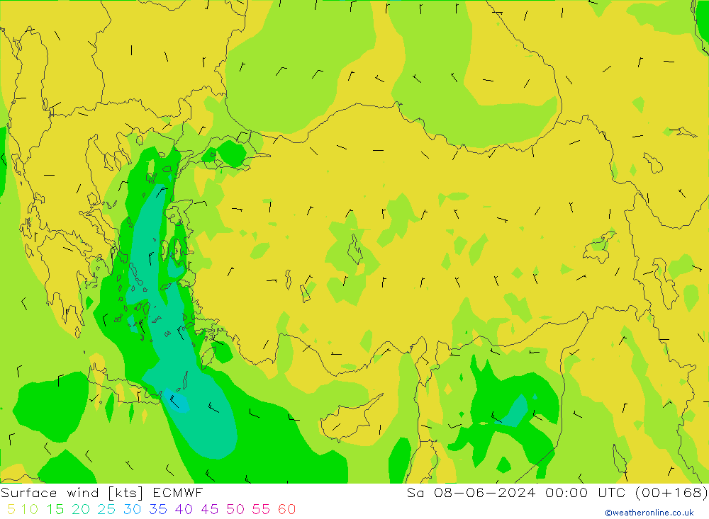 Surface wind ECMWF Sa 08.06.2024 00 UTC