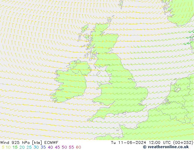 Wind 925 hPa ECMWF Tu 11.06.2024 12 UTC