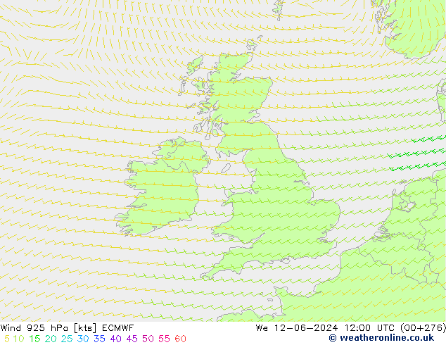  925 hPa ECMWF  12.06.2024 12 UTC