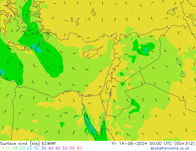 Rüzgar 10 m ECMWF Cu 14.06.2024 00 UTC