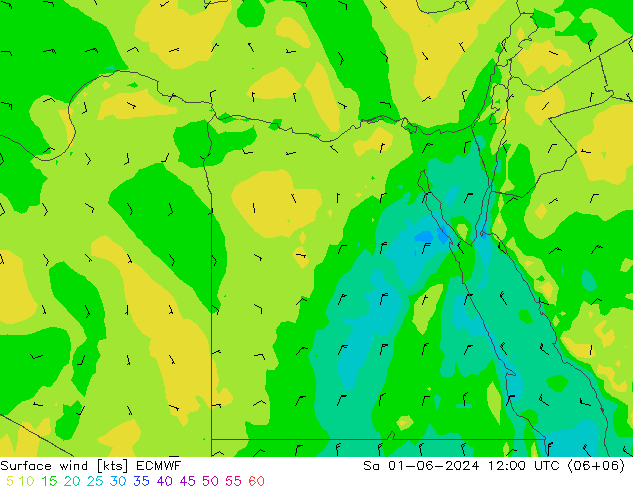  10 m ECMWF  01.06.2024 12 UTC