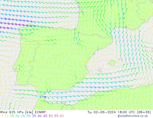 ветер 925 гПа ECMWF Вс 02.06.2024 18 UTC