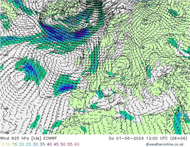 Vento 925 hPa ECMWF sab 01.06.2024 12 UTC