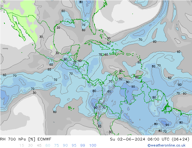 Humedad rel. 700hPa ECMWF dom 02.06.2024 06 UTC