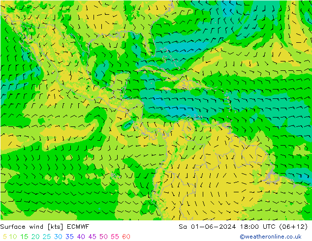 Vento 10 m ECMWF Sáb 01.06.2024 18 UTC