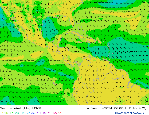 Surface wind ECMWF Tu 04.06.2024 06 UTC