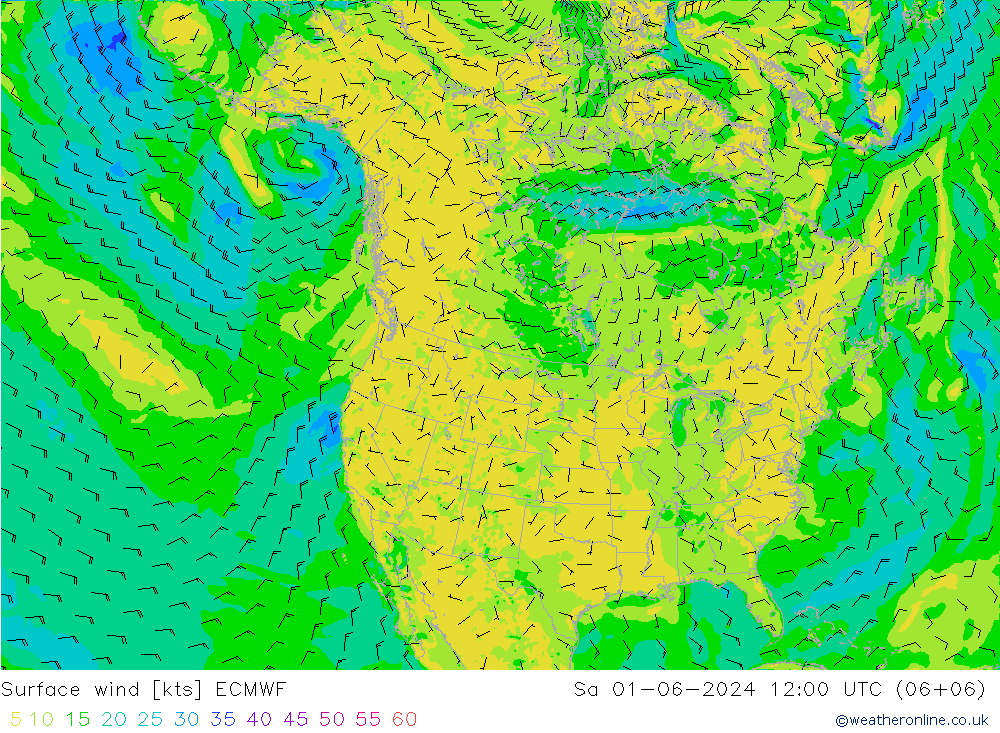 Surface wind ECMWF Sa 01.06.2024 12 UTC