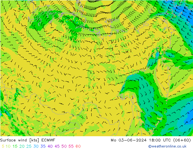  Pzt 03.06.2024 18 UTC