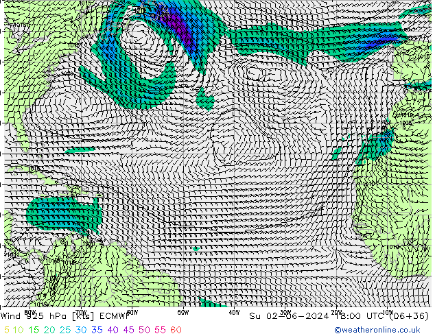 Wind 925 hPa ECMWF Su 02.06.2024 18 UTC