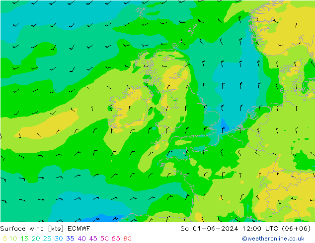  10 m ECMWF  01.06.2024 12 UTC