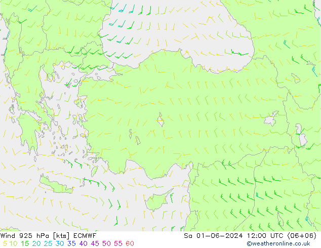 wiatr 925 hPa ECMWF so. 01.06.2024 12 UTC