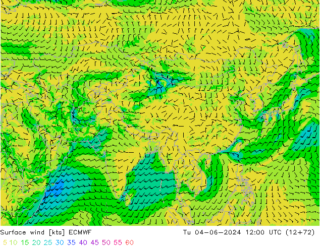 Surface wind ECMWF Tu 04.06.2024 12 UTC