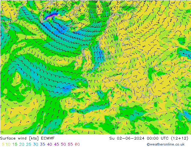 Wind 10 m ECMWF zo 02.06.2024 00 UTC