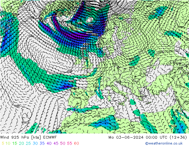 Wind 925 hPa ECMWF Po 03.06.2024 00 UTC