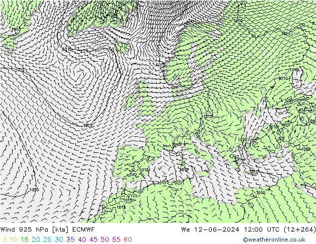 Rüzgar 925 hPa ECMWF Çar 12.06.2024 12 UTC