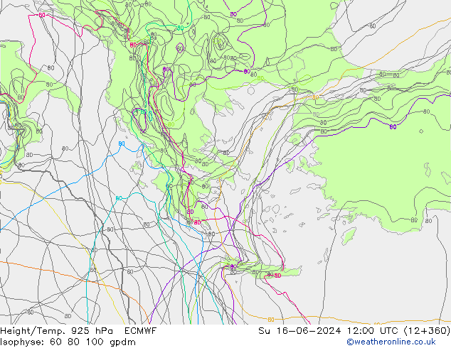 Height/Temp. 925 hPa ECMWF dom 16.06.2024 12 UTC