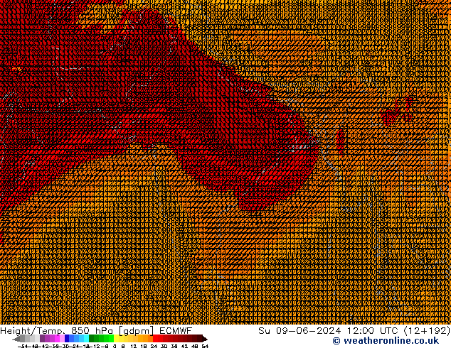 Géop./Temp. 850 hPa ECMWF dim 09.06.2024 12 UTC