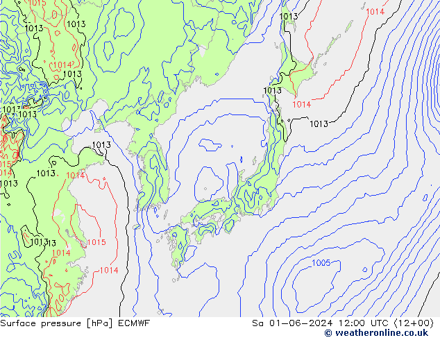 Pressione al suolo ECMWF sab 01.06.2024 12 UTC