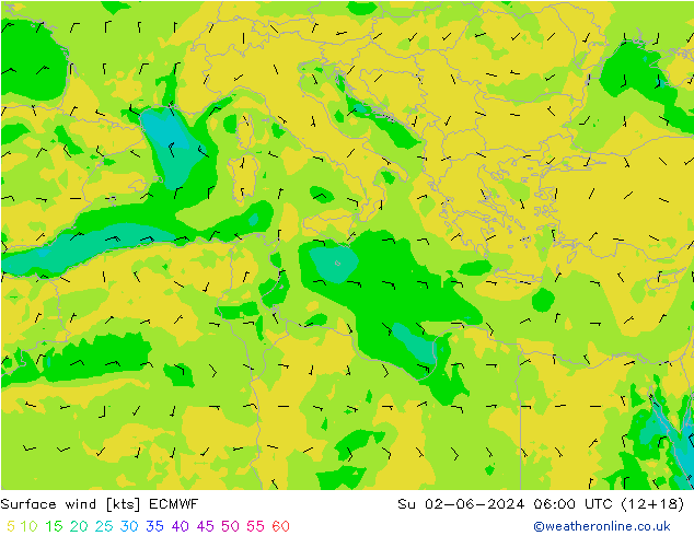 Surface wind ECMWF Su 02.06.2024 06 UTC