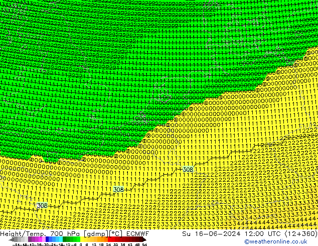 Yükseklik/Sıc. 700 hPa ECMWF Paz 16.06.2024 12 UTC