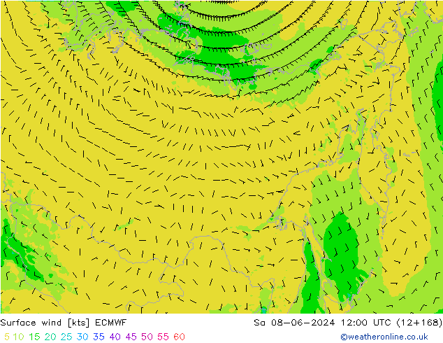 Rüzgar 10 m ECMWF Cts 08.06.2024 12 UTC