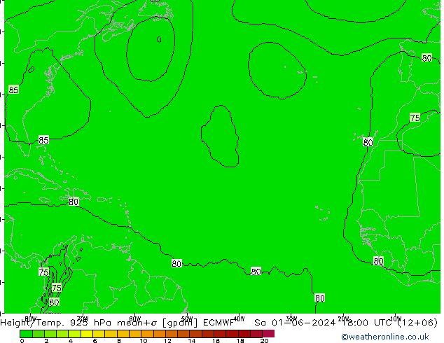 Height/Temp. 925 hPa ECMWF so. 01.06.2024 18 UTC