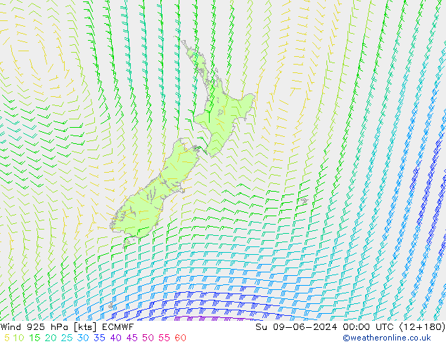 Viento 925 hPa ECMWF dom 09.06.2024 00 UTC