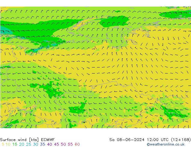 ветер 10 m ECMWF сб 08.06.2024 12 UTC