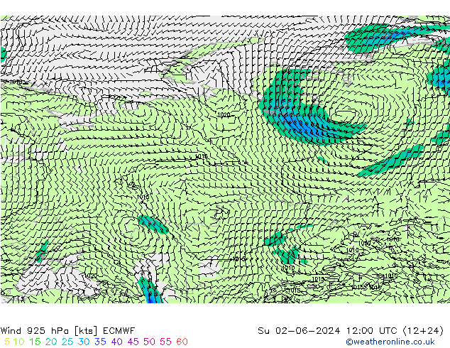  925 hPa ECMWF  02.06.2024 12 UTC