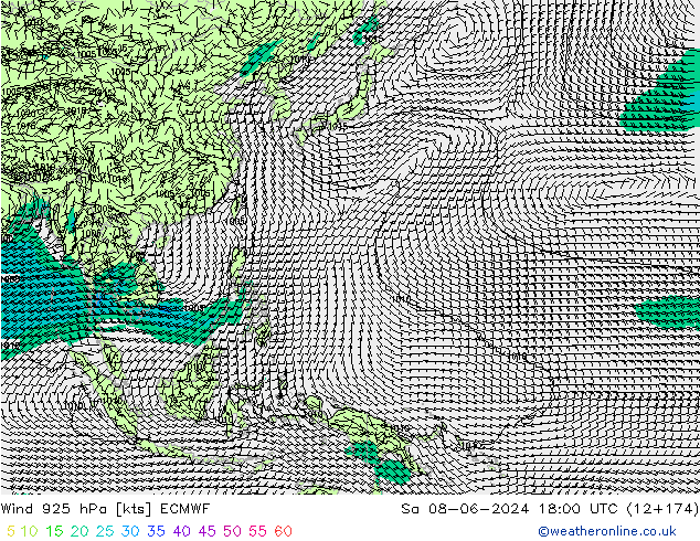 ветер 925 гПа ECMWF сб 08.06.2024 18 UTC