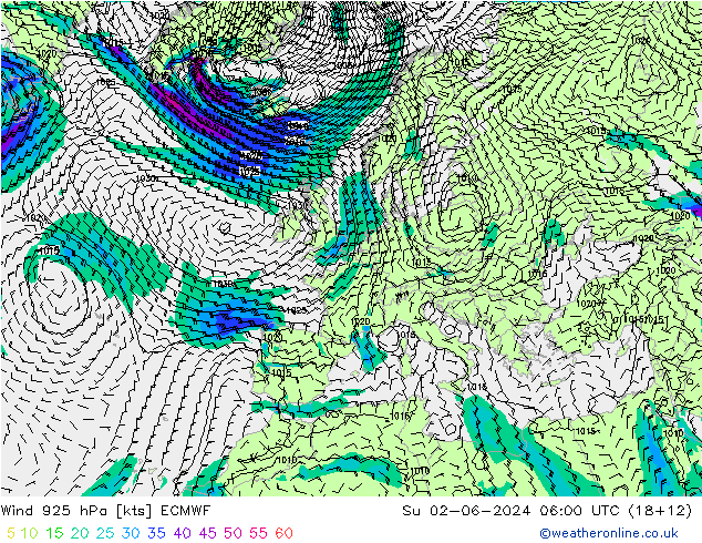  925 hPa ECMWF  02.06.2024 06 UTC