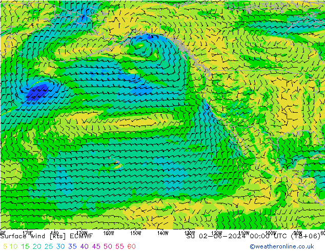 Surface wind ECMWF Su 02.06.2024 00 UTC