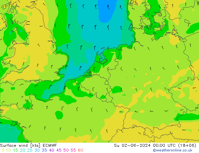 Bodenwind ECMWF So 02.06.2024 00 UTC