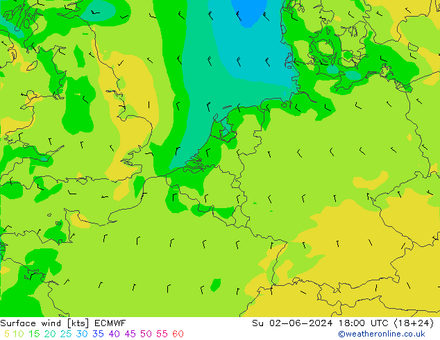 Bodenwind ECMWF So 02.06.2024 18 UTC