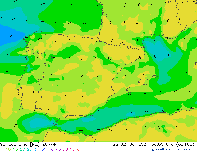 Viento 10 m ECMWF dom 02.06.2024 06 UTC