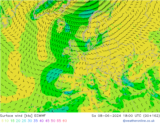  10 m ECMWF  08.06.2024 18 UTC