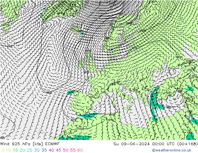 Rüzgar 925 hPa ECMWF Paz 09.06.2024 00 UTC