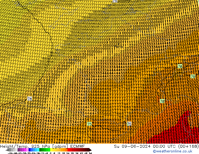 Height/Temp. 925 hPa ECMWF So 09.06.2024 00 UTC