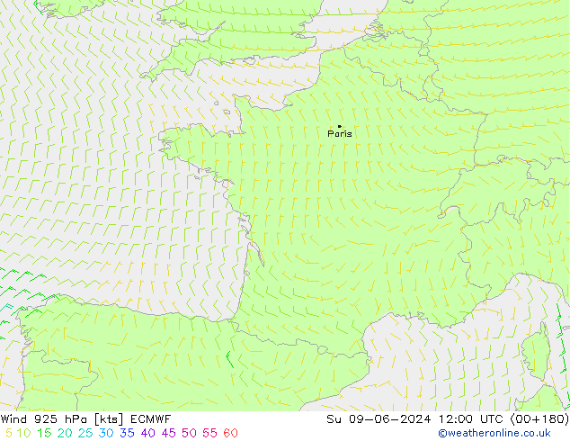 Wind 925 hPa ECMWF So 09.06.2024 12 UTC