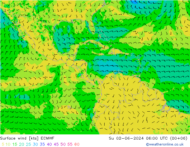  zo 02.06.2024 06 UTC