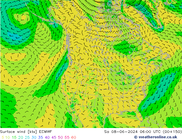 Surface wind ECMWF Sa 08.06.2024 06 UTC