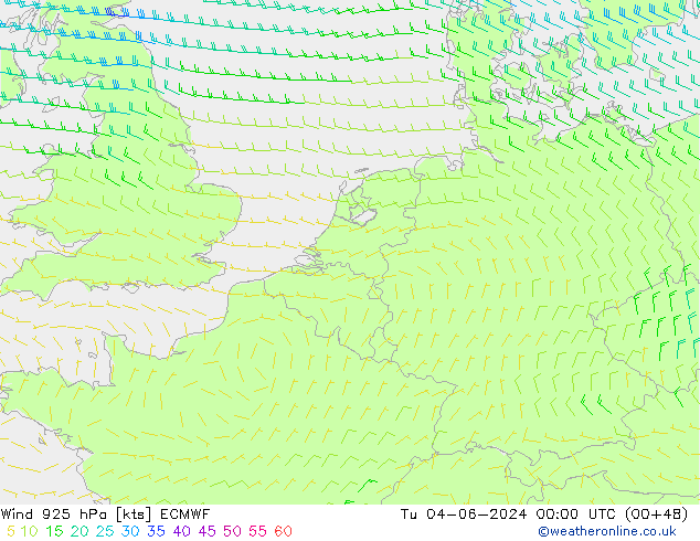 Vento 925 hPa ECMWF mar 04.06.2024 00 UTC