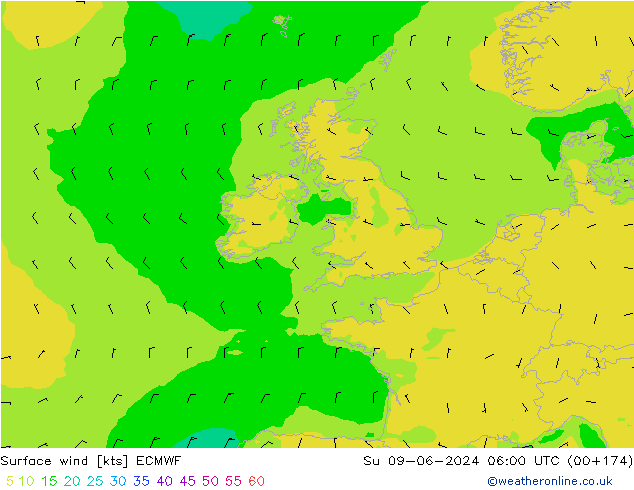 Surface wind ECMWF Ne 09.06.2024 06 UTC